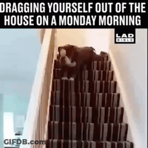 A Dog Is Dragging Itself Up A Set Of Stairs On A Monday Morning . GIF