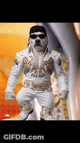 A Dog Is Dressed In A Elvis Presley Costume GIF