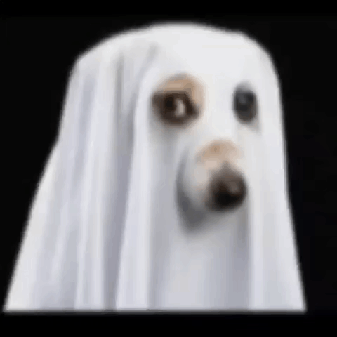 A Dog Is Dressed Up As A Ghost With A White Sheet Over Its Head . GIF