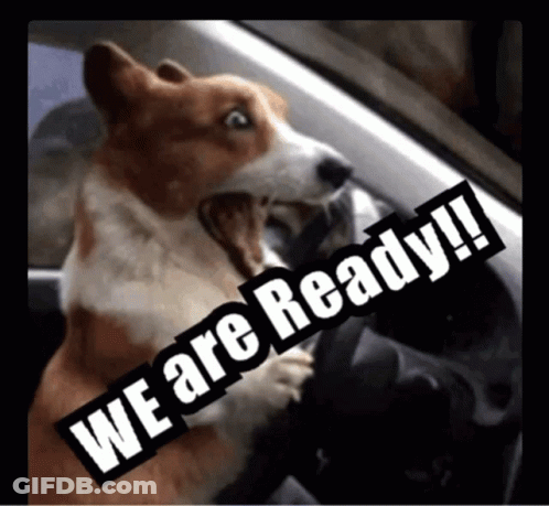 A Dog Is Driving A Car With A Sign That Says We Are Ready GIF