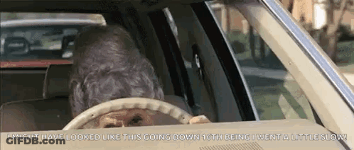 A Dog Is Driving A Car With The Words I Might Have Looked Like This Going Down GIF