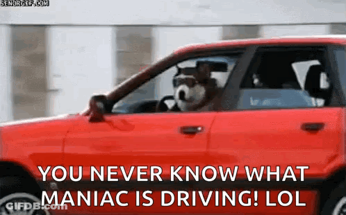 A Dog Is Driving A Red Car With The Words " You Never Know What Maniac Is Driving Lol " On The Bottom GIF