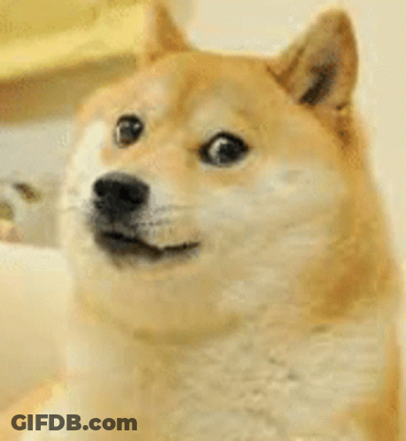 A Dog Is Giving A Thumbs Up Sign . GIF