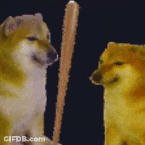 A Dog Is Holding A Bat In Front Of A Bonk Sign . GIF
