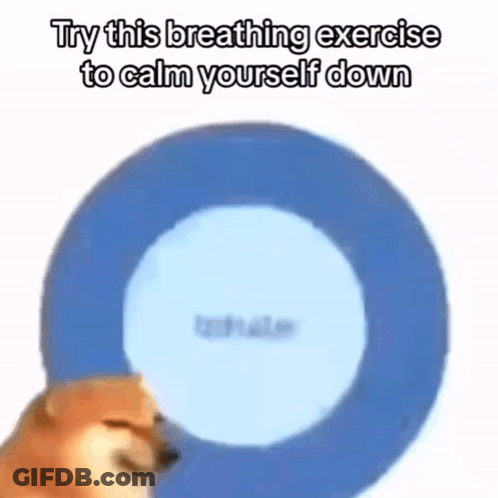 A Dog Is Holding A Blue Circle In Front Of His Face . GIF