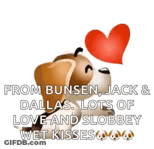 A Dog Is Holding A Heart In Its Mouth And Says `` From Bunsen , Jack & Dallas GIF