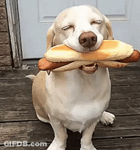 A Dog Is Holding A Hot Dog In Its Mouth With Its Eyes Closed GIF
