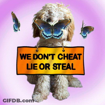 A Dog Is Holding A Sign That Says We Don T Cheat Lie Or Steal GIF