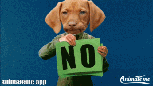 A Dog Is Holding Up A Sign That Says No GIF