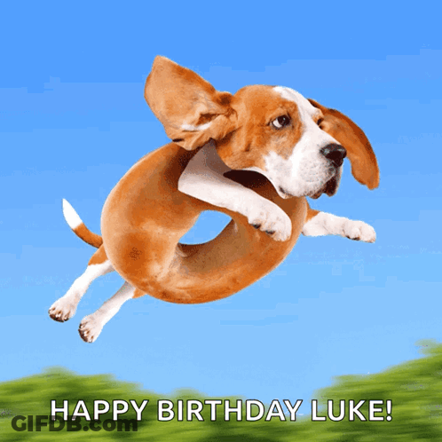 A Dog Is Jumping In The Air With The Words " Happy Birthday Luke " Below It GIF