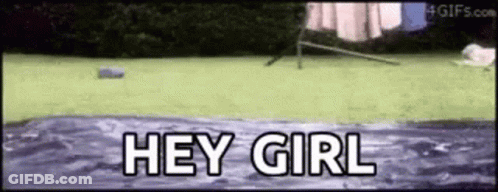 A Dog Is Jumping Into A Pool Of Water With The Words `` Hey Girl '' Written Above It . GIF