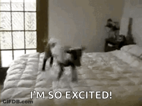 A Dog Is Jumping On A Bed With The Words `` I 'M So Excited '' Written On It . GIF