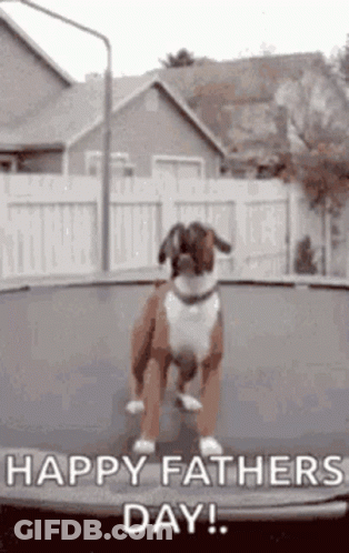 A Dog Is Jumping On A Trampoline With The Words Happy Fathers Day Written Below It GIF