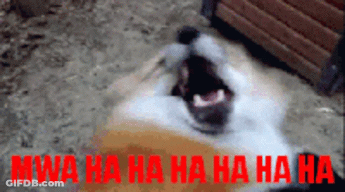 A Dog Is Laughing With The Words Mwa Ha Ha Ha Ha Ha GIF