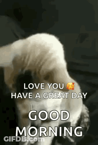 A Dog Is Laying Down On A Bed With The Words `` Love You Have A Great Day Good Morning '' . GIF