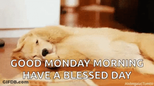 A Dog Is Laying Down On The Floor With The Words `` Good Monday Morning Have A Blessed Day '' . GIF