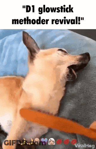 A Dog Is Laying Down With Its Mouth Open And A Glowstick Sticking Out Of Its Mouth GIF