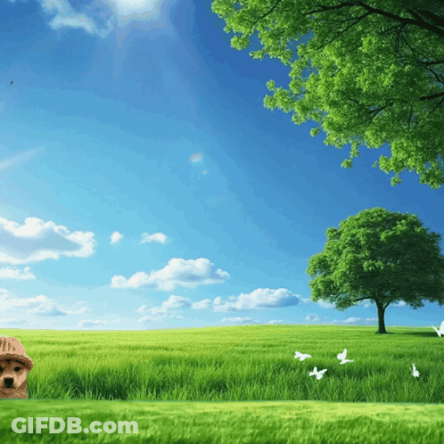 A Dog Is Laying In A Grassy Field With A Tree In The Background GIF