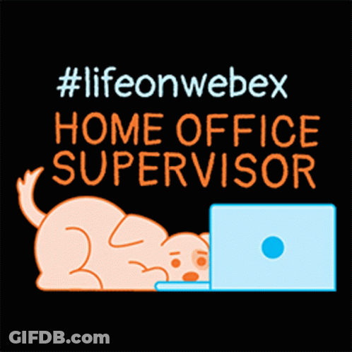 A Dog Is Laying In Front Of A Laptop With The Words " Home Office Supervisor " On The Bottom GIF
