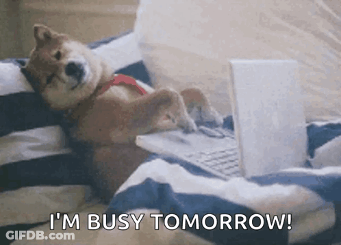 A Dog Is Laying On A Bed Using A Laptop Computer And Says I 'M Busy Tomorrow GIF