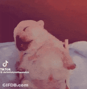 A Dog Is Laying On A Bed With Fire Coming Out Of Its Mouth GIF