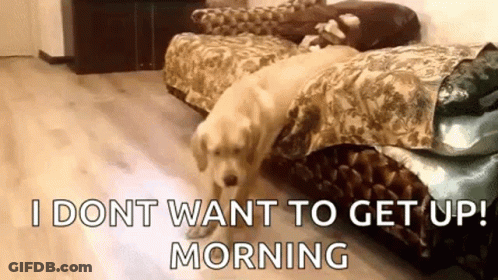 A Dog Is Laying On A Bed With The Words `` I Don T Want To Get Up Morning '' Written On It . GIF