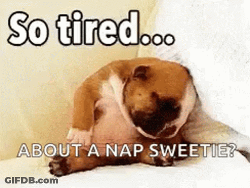 A Dog Is Laying On A Bed With The Words `` So Tired ... About A Nap Sweetie '' Written On It . GIF