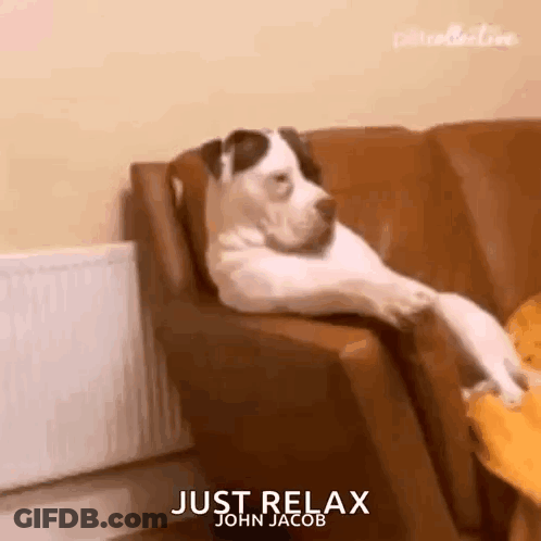 A Dog Is Laying On A Couch With Its Head On The Armrest . GIF
