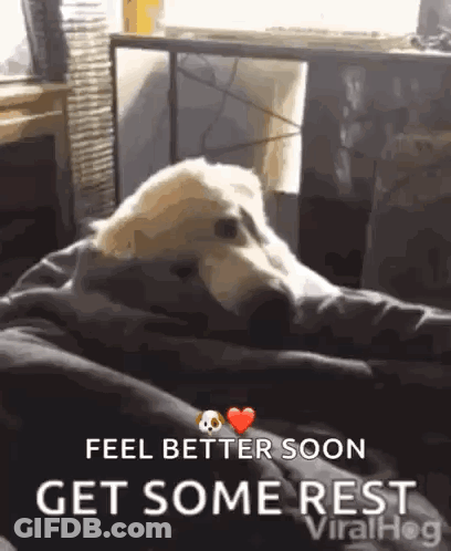 A Dog Is Laying On A Couch With The Words `` Feel Better Soon Get Some Rest '' Written Below It . GIF