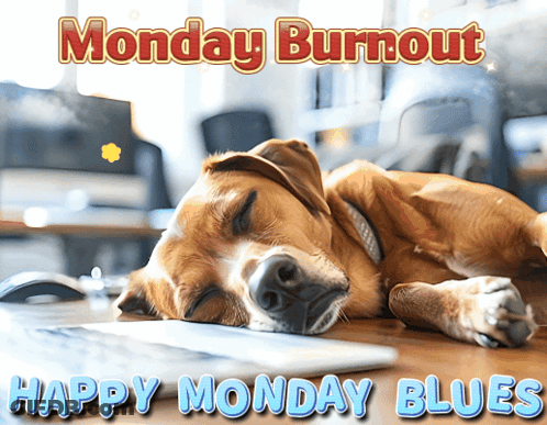 A Dog Is Laying On A Desk With The Words Monday Burnout Happy Monday Blues GIF