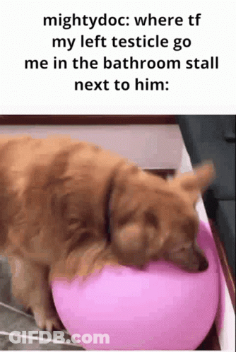 A Dog Is Laying On A Pink Ball Next To A Text That Says Mightydoc GIF