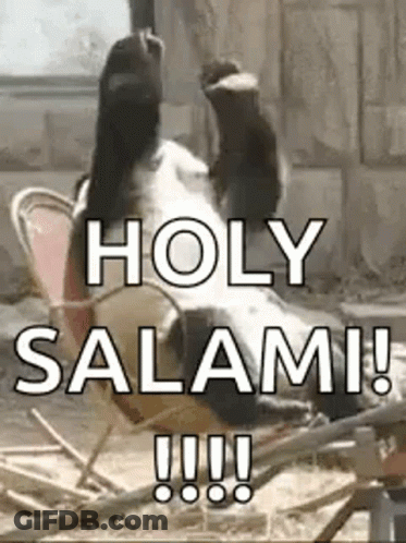 A Dog Is Laying On Its Back In A Chair With Its Paws In The Air . GIF