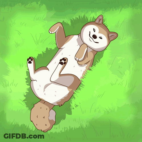 A Dog Is Laying On Its Back In The Grass And Smiling GIF