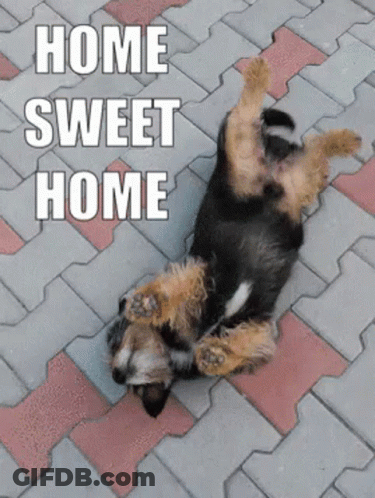 A Dog Is Laying On Its Back On A Brick Sidewalk With The Words Home Sweet Home Above It GIF