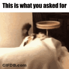 A Dog Is Laying On Top Of A Bed With The Words `` This Is What You Asked For '' Written Above It . GIF