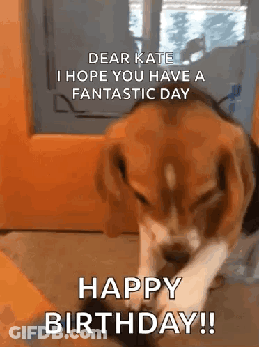 A Dog Is Licking Its Paw And Says Dear Kate I Hope You Have A Fantastic Day Happy Birthday GIF