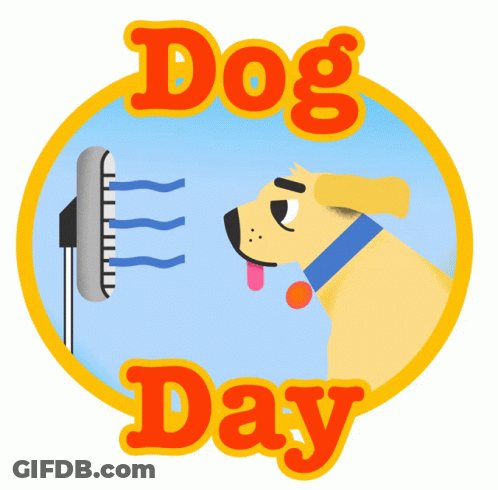 A Dog Is Looking At A Fan With The Words Dog Day Above It GIF
