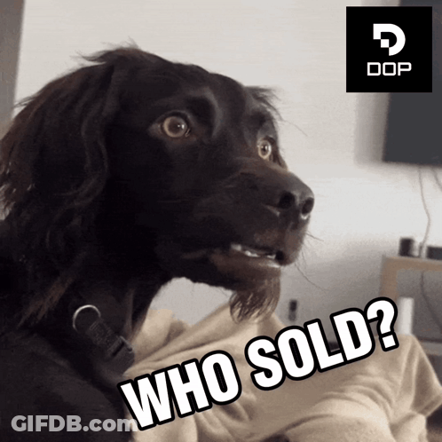 A Dog Is Looking At The Camera And Says Who Sold GIF
