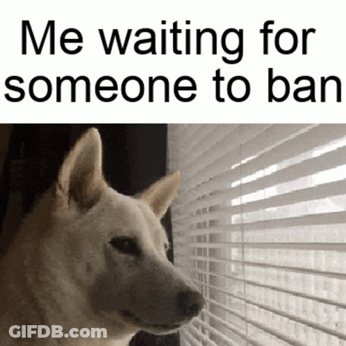A Dog Is Looking Out A Window With Blinds And The Caption Says Me Waiting For Someone To Ban . GIF