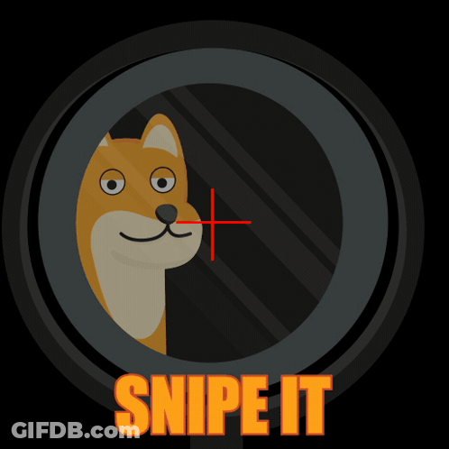 A Dog Is Looking Through A Scope With The Words Snipe It Written Below It GIF