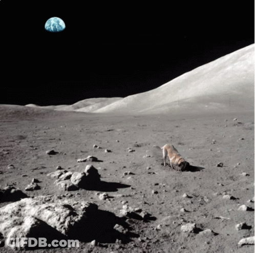 A Dog Is On The Moon With The Earth In The Background GIF