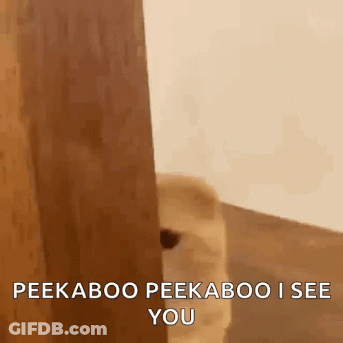 A Dog Is Peeking Out From Behind A Door . GIF