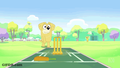 A Dog Is Playing A Game Of Cricket With Another Dog In The Background GIF