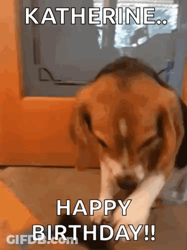 A Dog Is Playing With A Toy And Saying Happy Birthday . GIF