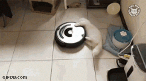 A Dog Is Playing With A Vacuum Cleaner On The Floor . GIF