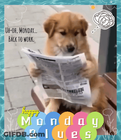 A Dog Is Reading A Newspaper With The Words Happy Monday Blues Written Below It GIF