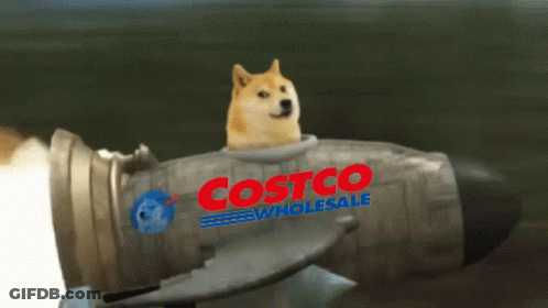 A Dog Is Riding A Rocket That Says Costco Wholesale GIF