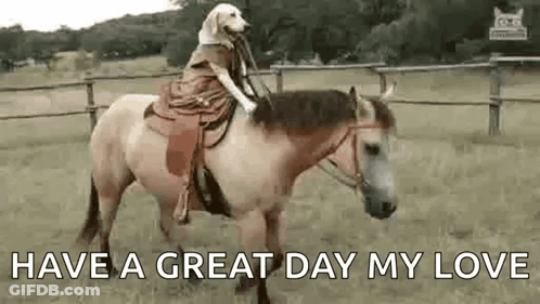 A Dog Is Riding On The Back Of A Brown Horse . GIF