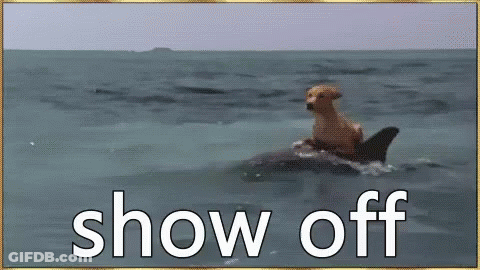 A Dog Is Riding On The Back Of A Dolphin . GIF