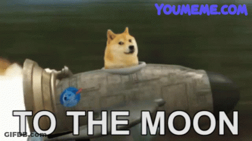 A Dog Is Riding On The Back Of A Missile With The Words To The Moon Written Below It GIF